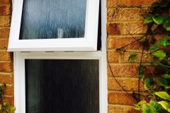 Window-IMG2